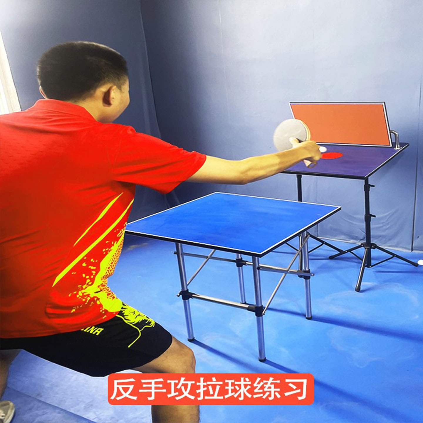 Table tennis trainer rebound b - đánh giá và giá Table Tennis Trainer
