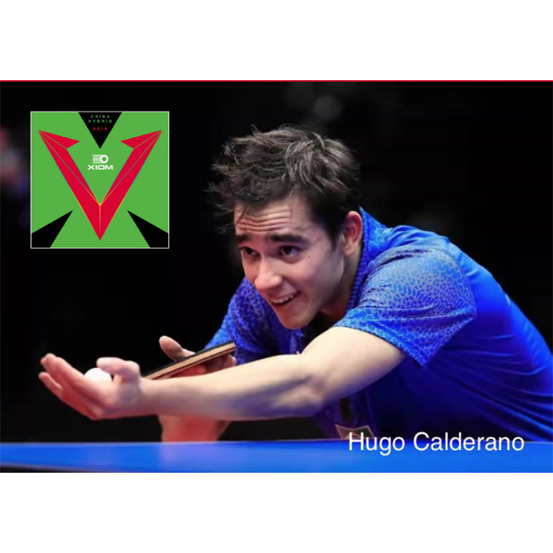 XIOM VEGA ASIA HYBRID 79-079 T - đánh giá và giá Table Tennis Hybrid Rubbers