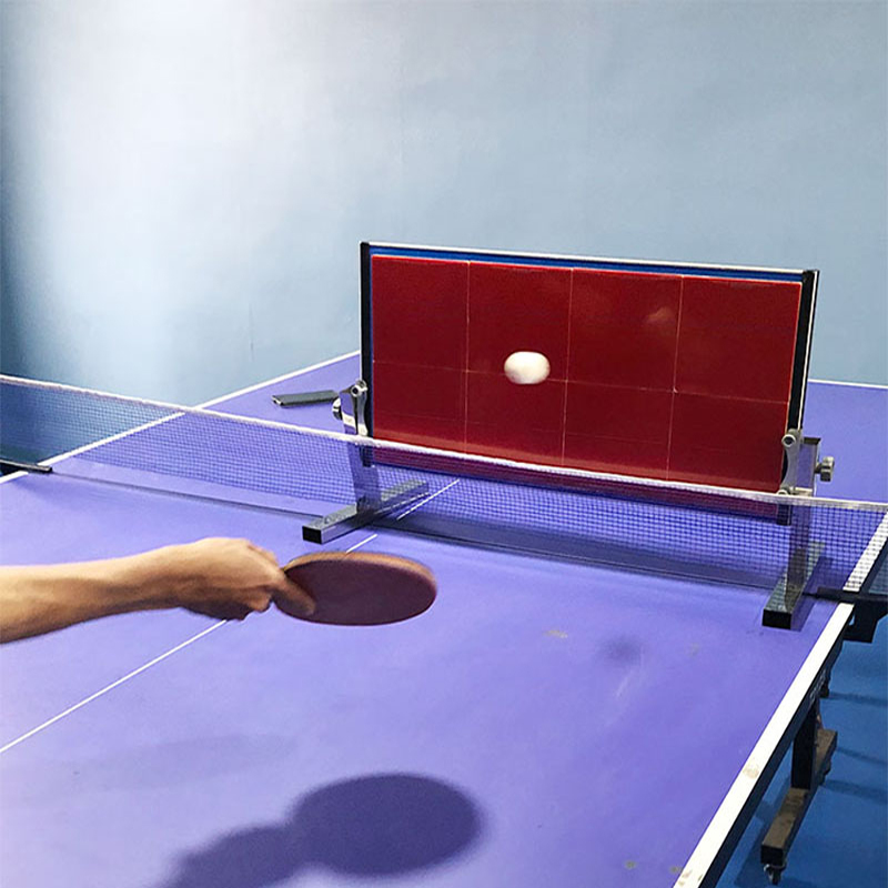Home Table Tennis Rebound Boar - đánh giá và giá Table Tennis Trainer