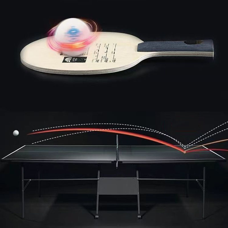 Original Sanwei T5000 Table Te - đánh giá và giá Table Tennis Eleven
